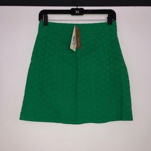 Francesca’s Collections Green Lace Skirt